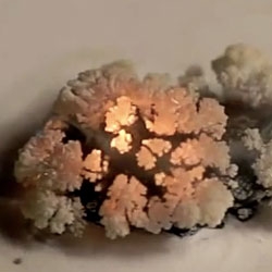Fascinating to see how Lithium combusts in slow motion!