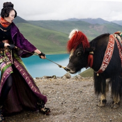 The editorial of November's Harper's Bazaar Indonesia photographed by Nicoline Patricia Malina experienced in Tibet, Zhang Fan depicts the model in an editorial of the most beautiful and eccentric of the year.