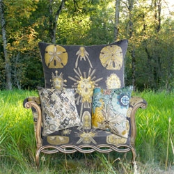 Haeckel House, turning the beautiful natural history prints of Ernst Haeckel into scarves, pillows and even beachwear.