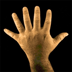 The Augmented Hand Series by Golan Levin, Chris Sugrue, and Kyle McDonald is a real-time interactive software system that presents playful, dreamlike, and uncanny transformations of its visitors' hands.
