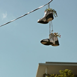 Hunter is a very young artist who just updated his blog with this "new spin on the old tradition of hanging up sneakers on power lines" ~ filling them with dirt and flowers... Pretty clever!