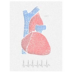 Soon-to-be doctor, Stephen, created the image of an anatomical heart made up entirely of the words from his dissertation on cardiac arrhythmia.