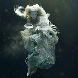 Elegant and inspiriting underwater photography from Zena Holloway.