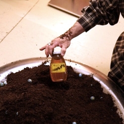 SOILED UN/EARTHED is an semiannual event that transforms the architecture zine SOILED into a participatory live experience.  Visitors were invited to excavate local honey!
