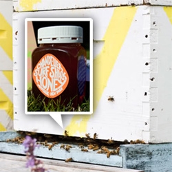 A fun reminder of Chandelier Creative's Summer Surf Shack in Montauk... Limited edition HONEY from their 20,000 little honey bees. Fun packaging, of course!