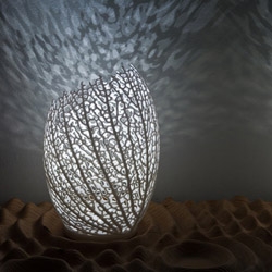 Nervous System releases their first ever home object - the Hyphae Lamp. Inspired by the structures of leaves, each Hyphae lamp is grown from an algorithm and printed using 3D technology.