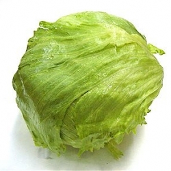 It may look like a head of iceberg lettuce, but it's actually a safe - theres a hidden compartment that hides your valuables from prying eyes...  From bimbambanana.com