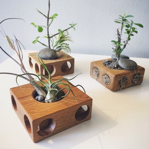 PlantBlocks are handmade airplant & succulent homes. Crafted from White Oak, these are an original product from the design studio Buckets Of Stone LLC