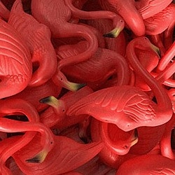R.I.P. Plastic Pink Flamingo 1957-2006
