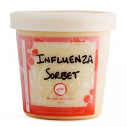 Jeni's Ice Cream's Influenza Sorbet - "Cayenne pepper, ginger, Maker's Mark bourbon, honey, and cold- and flu-fighting orange and lemon juices. Cures whatever ails you."