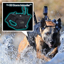 The K9 Storm Intruder for your dog is lightweight, waterproof, and even has an integrated camera in the vest!