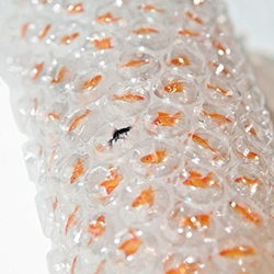 Goldfish bubble wrap, from Kaboomi Studio.