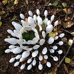 Lea Turto from Finland has made Plastic Garden. Here is the iCty-fFower installation of plastic spoons.