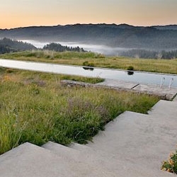 Remodelista rounds up some gorgeous outdoor lap pools.