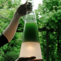 The latro lamp by Eindhoven-based designer Mike Thompson utilizes living algae as its power source. 