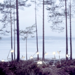 Rune Guneriussen is a young Norwegian photographer with a beautiful series of photos of lamps.