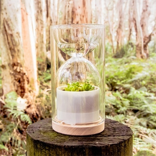 The Livesglass is a miniature planet-saver. It irrigates itself through drip irrigation and creates a greenhouse environment.