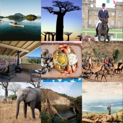 This week’s roundup from NotVentures includes Tuscan escapes, Madagascan baobabs and Chinese quarry gardens.