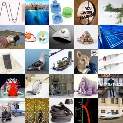 This week’s roundup from NOTCOT.org includes half-pipe carving contraptions, programmable glass floor for sports, Shetland ponies in sweaters and more.