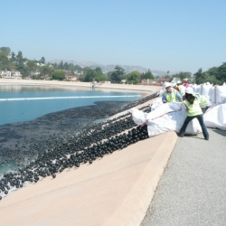 400, 000 hollow black balls dumped into the Ivanhoe Reservoir to prevent sunlight to react with the bromide and chlorine producing carcinogens!