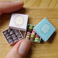 Stéphanie Kilgast’s miniatures are unbelievable ~ including plates of sushi that could fit on your finger nail... boxes of laudree macaroons... and donuts that could sit on a match head