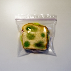 if you've ever had your lunch stolen, you know the the frustration it causes.  Anti-Theft Lunch Bags are regular sandwich bags that have green splotches printed on both sides. After your sandwich is placed inside, no one will want to touch it.