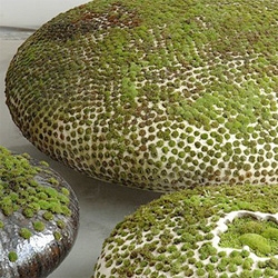 "Coexistence" by Mineo Mizuno ~ incredible installation integrating moss, ceramics and more!
