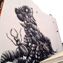 New Mural by ROA for Puerto Street Art in Puerto De La Cruz, Spain.
