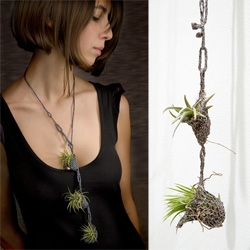Paula Hayes' Living Necklaces