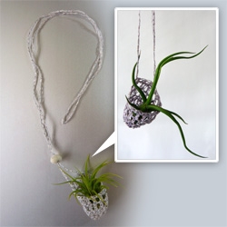 Paula Hayes' Living Necklaces ~ tiny air plants live in your necklace!