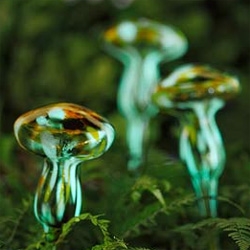 Moonlight Mushrooms ~ not only do they deliver a cup of water to your plants each day, but they are made of handblown glass with phosphorescent chips melted into  them ~ so they glow at night...