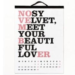 talented spanish graphic designer noa bembibre's 2008 calendar is filled with boldly nonsensical phrases.