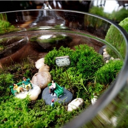 Terrariums are making a real comeback, they even have their own article and slideshow in the NYTimes this week.