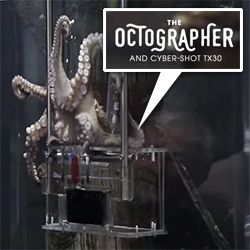 Octographer - Sony New Zealand sets up an octopus to take photos of humans with the Sony Cyber-shot TX30. 