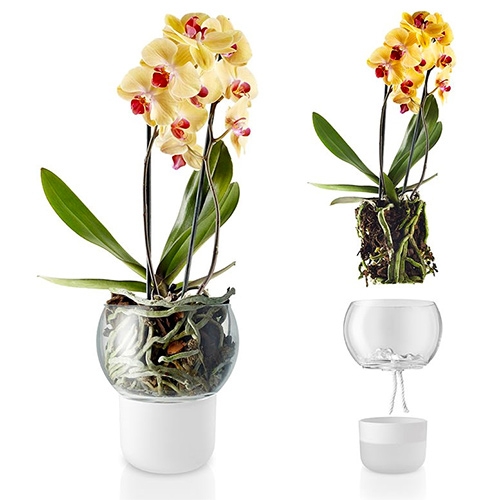 Eva Solo Self-Watering Orchid Pot