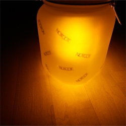 Glowing Jar Full Of NOTCOTs! (and dissection of a Sun Jar)