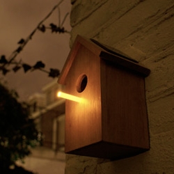 Oooms' SOLAR BIRDHOUSE! Yup, it charges up in the day, and lights up at night... although i wonder if it would lead the nocturnal carnivores right to their doorstep as they sleep? 