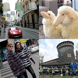 So many random things encountered on a few hour wander of Milan today! From evil sheep to the milan marathon by the castle to linen designer lamps filling a street, and so much more...