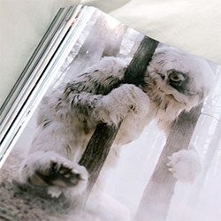 MONSTERS!!! Amazing super furry yeti like creatures in the F/W12 ad campaign for Mulberry... also take a peek at these Wild Things inspired guys on the catwalk, in the pool, as cupcakes and more...