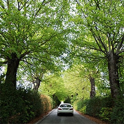 Running around Tuscany with the Mercedes Benz CLS Shooting Brake, we discovered the most magical tree lined road ~  Località Lilliano near Poggibonsi, Siena, Italy. The trees are incredible!