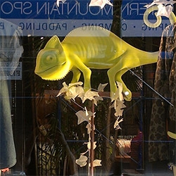 Chameleon window displays at Aritzia! Mesmerizingly cute and unexpected...