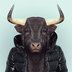 People are really getting into the animals in clothes look... the latest are Zoo Portraits by Yago Partal