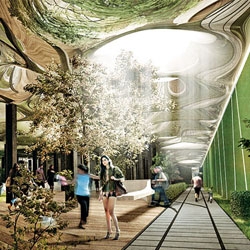 In answer to the High Line, here is the proposed 'Low Line', an underground park planned for an abandoned trolley terminal on the Lower East Side! 