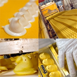 Photo Gallery of how Peeps are made!