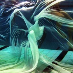 After nearly drowning when she was five, Ellen Butler has spent most of the last 20 years taking pictures underwater.