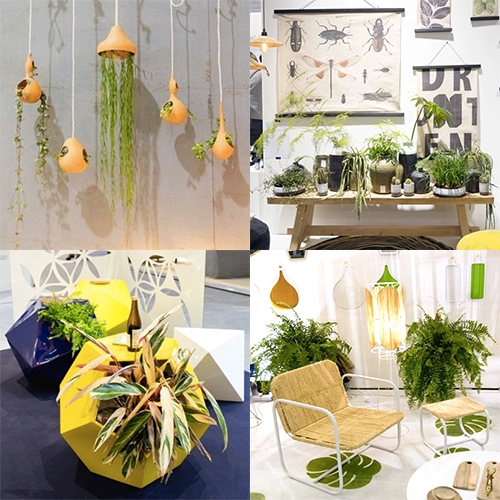 Urban Jungle Bloggers has a great roundup of Plant Trends from Maison et Objet 2016
