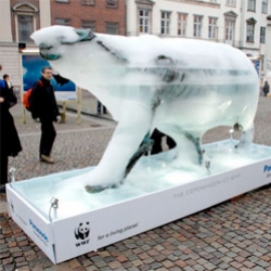 Melting polar bear ice sculpture created by artist Mark Coreth was presented last week in Copenhagen and is sponsored by WWF to create an awareness on the human impact on the climate. As it melts, the skeleton appears.