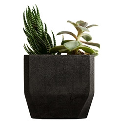 Nooka's Pothra is a planter made of eco-friendly resin and leftover coffee grounds!
