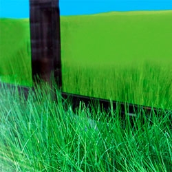 In Square Lab's collaboration with MPC Digital and Existential called "Urban Prairie," an interactive window installation with street facing optical sensors that translate the motion of passersby into a simulated breeze through the grass.
