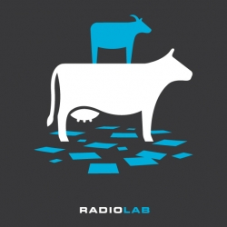 T-shirt design to benefit WNYC’s Radiolab. The image of a goat standing on a cow among a mess of papers is a favorite image for fans of the program. Listen to the show and support it with the purchase of this tee.